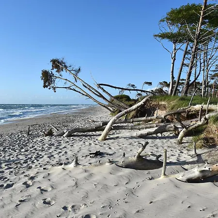 Heymat An Der Seebruecke Apartment Zingst