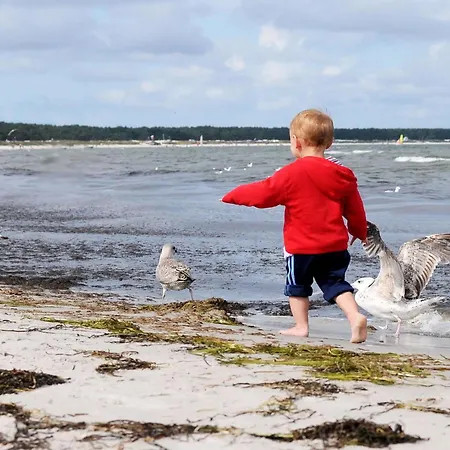 Apartment Heymat An Der Seebruecke Zingst